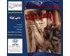 ماهی کیلکا منجمد (کد119) شیلات مهدی زاده 09155159391